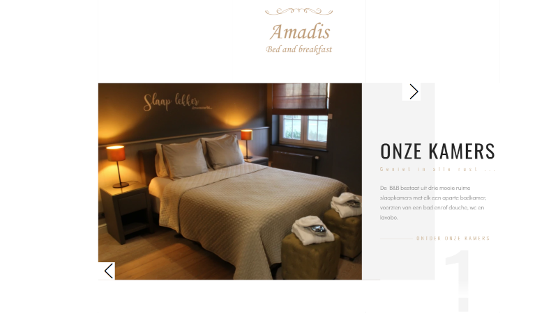 Amadis_16-9_800x450-1.png